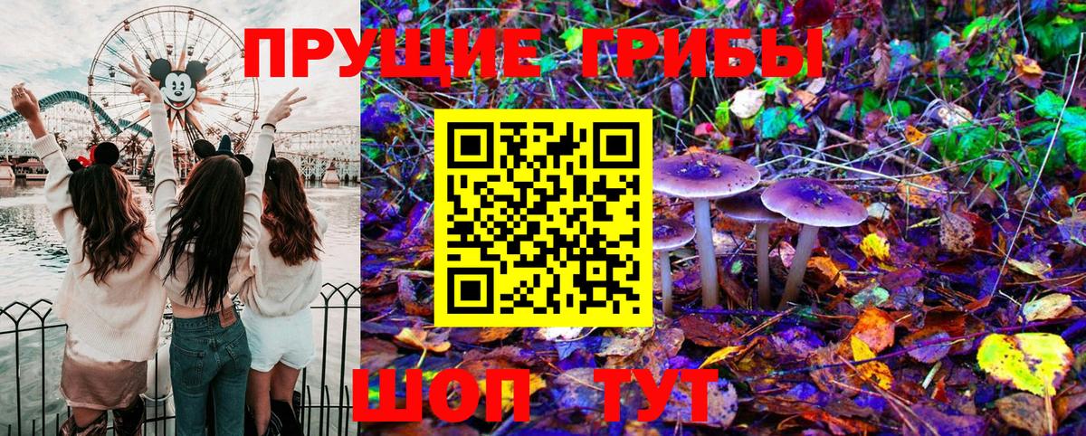 Галлюциногенные грибы GOLDEN TEACHER  Вход с VPN  купить   Татарск 